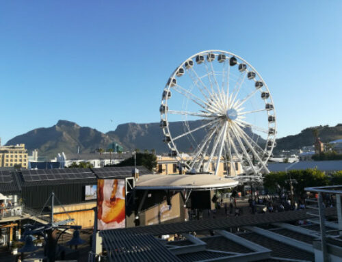 Cape Town Experience Gifts: Experience the Heartbeat of the Mother City