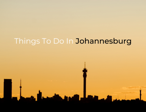 Things To Do Near Me In Johannesburg