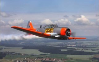 aerobatic flights south africa