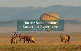 Hot Air Balloon Safari