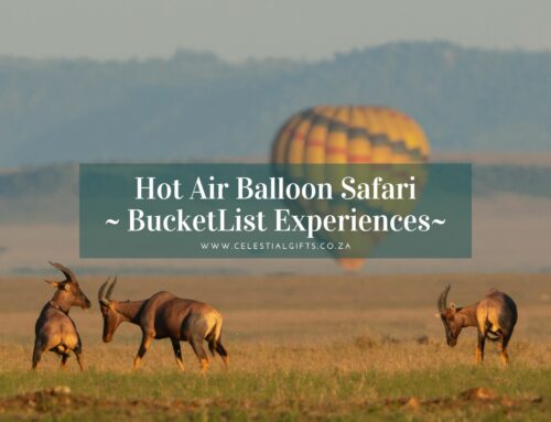 Hot Air Balloon Safari Over African Skies