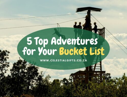 Gift Experiences South Africa: 5 Top Adventures for Your Bucket List
