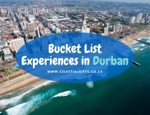 Bucket List Experiences in Durban