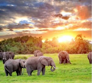 experience-67590212_9ws7-p9