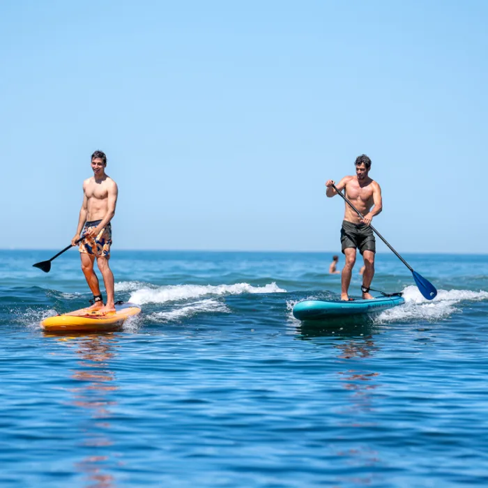 Exclusive Ocean SUP Tour for Two | Cape Town - Image 3