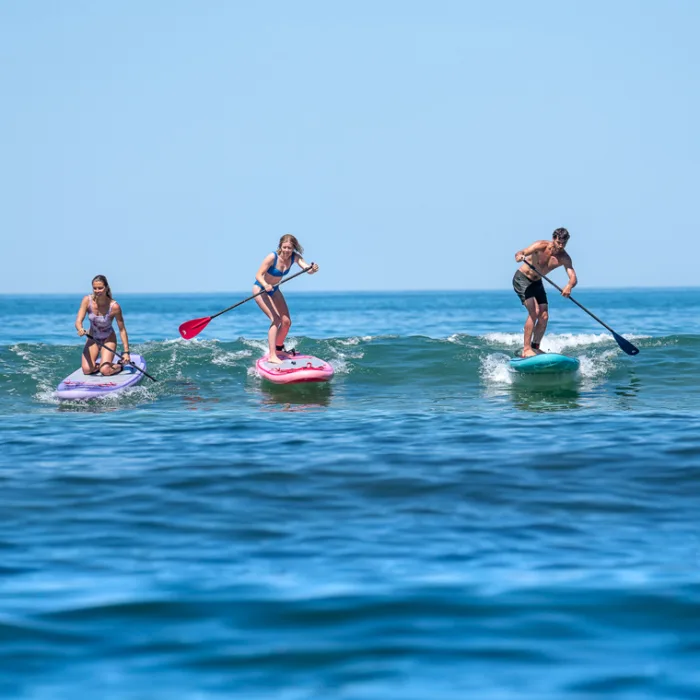 Exclusive Ocean SUP Tour for Two | Cape Town