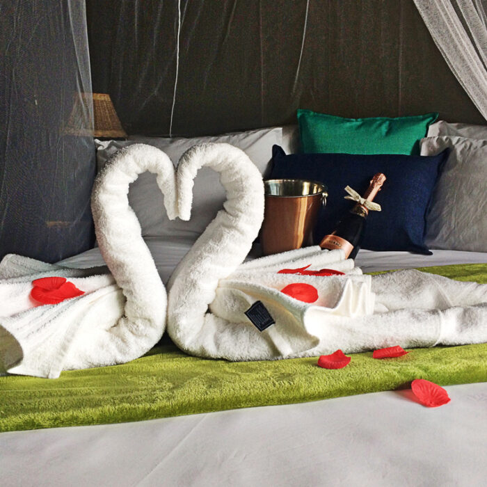 Romantic Treetop Weekend Stay | Sedgefield